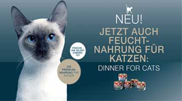 Dinner for Cats - Gratis